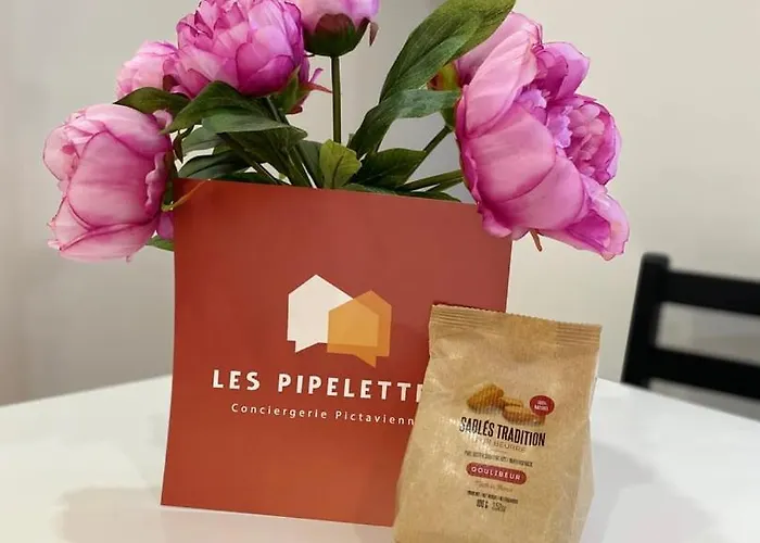 Cathedrale : Cosy Au Coeur Du Centre Apartment